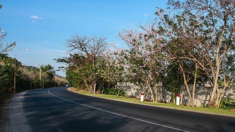 Quoc An Hotel Long Hai Eksteriør billede